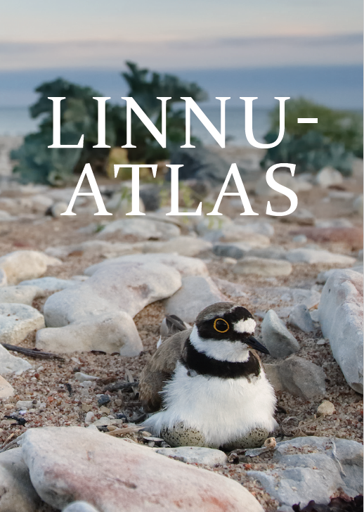 Linnuatlas näidis 1